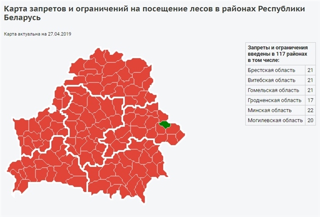 В 117 районах Беларуси запрещено посещение лесов